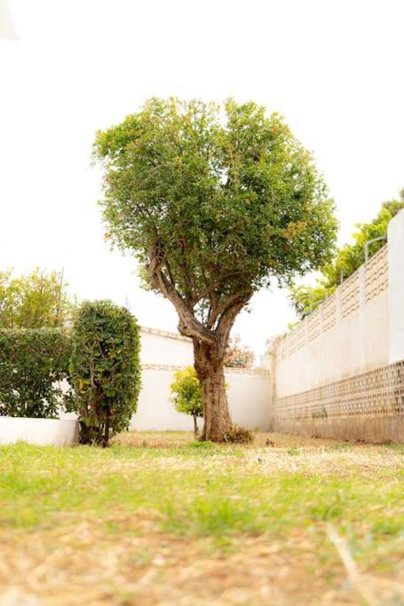 Casa Voramar En Denia A 300M De La Playaヴィラ エクステリア 写真